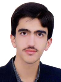 امیرحسین داودپور