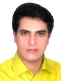امیر فیلی