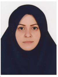 بهارک علیزاده