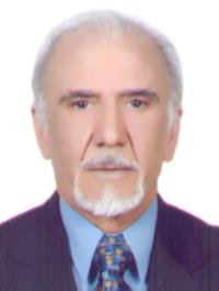 بیژن شاهرخی ابراهیمی پور