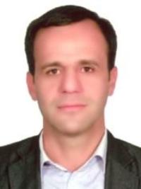 حسن فاطمی نیا