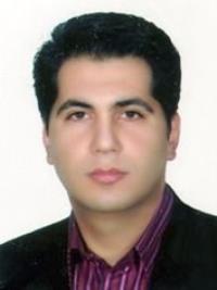 حمید مشگی