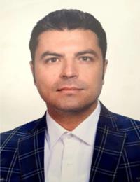 رضا هادی