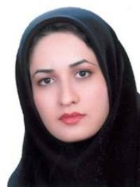 سبیه حامدی