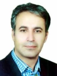 سعیدرضا نقیبی محمودآبادی