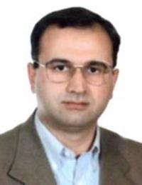 سیدمحسن رضویان