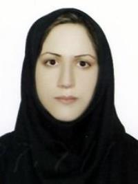 شب بو جسری