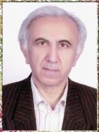 ضیاءالدین نوروزی