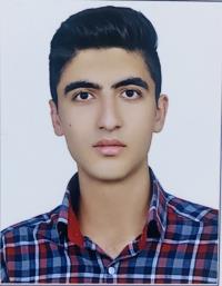 علی تقی پورولیلو
