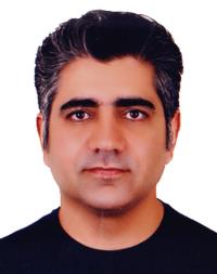 مجتبی چهاردولی