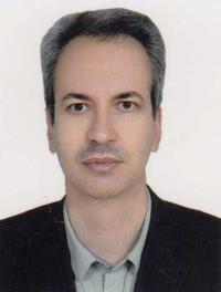 محسن شفیع پورمرجی