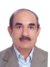 محمود مفیدی