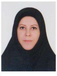 مرسده جوادزاده صابر