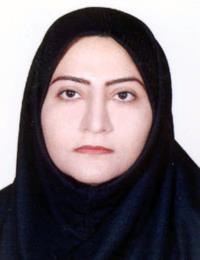 مریم حبیبی