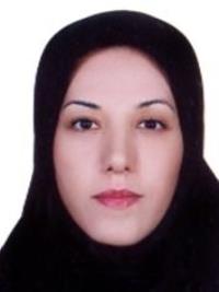 میناسادات میرنظامی