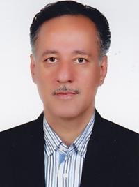نادر زرین فر