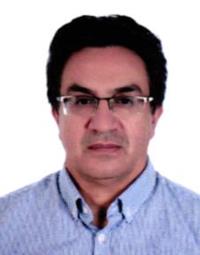 هاشم طلوع حسن پور