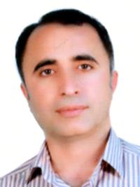 وحید محمودی