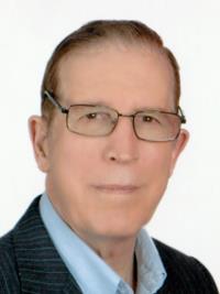یحیی دولتی